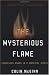 The Mysterious Flame: Conscious Minds In A Material World