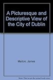 A picturesque & descriptive view of the city of Dublin