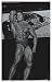 Arnold Schwarzenegger Bodybuilding Poster (II)