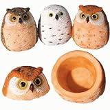 Owl Treasure Box Figurines 3-pc Set