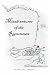 Misadventures of the Rumonauts