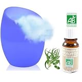 Diffuseur Arômes huiles essentielles - Vase en Verre - Variation de couleurs LED + 1 Huile Essentielle Eucalyptus Certifiée Bio