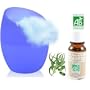 Diffuseur Ar�mes huiles essentielles - Vase en Verre - Variation de couleurs LED + 1 Huile Essentielle Eucalyptus Certifi�e Bio