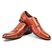 Ferro Aldo Men's Brown Dress Shoes Cap Toe Lace up Oxfords 19339