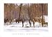The Morning Agenda by Richard D. Thomas. Size 21.00 X 33.00 Art Poster Print