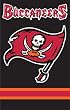 Tampa Bay Buccaneers Applique Embroidered Banner Flag 44"x28" NFL Football Fan Shop Sports Team Merchandise