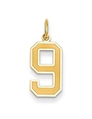 14k Yellow Gold Medium Satin Number 9 Charm Pendant. Metal Wt- 0.79g