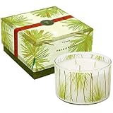 Thymes Frasier Fir Large Candle (17 oz / 480 g )