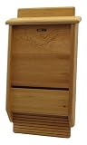 Birds Choice Bat House Reviews 41uOO1%2BcNBL. SL160 Birds Choice Bat House Reviews