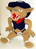 Review Northwest  / Arizona Wildcats Mascot Pillow