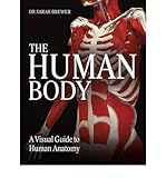 The human body : a visual guide to human anatomy