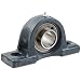 FYH UCP206-19 Pillow Block Mounted Bearing, 2 Bolt, 1-3/16" Inside Diameter, Set screw Lock, Cast Iron, Inch