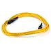 Fiber Optic Cable, MTRJ (Male)/MTRJ (Male), Single Mode, Duplex - 2 meter