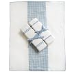 Tadpoles Basics Blue Gingham Burping Cloths - 3-pk.
