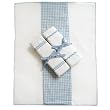 Tadpoles Basics Blue Gingham Burping Cloths - 3-pk.