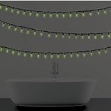 Night Lights