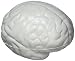 Brain Stress Toy - Gray by Ariel