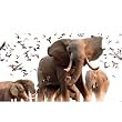 (24x36) Steve Bloom (Elephant Herd) Art Poster Print