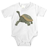 Galapagos Islands Tortoise Onesie