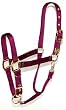Hamilton 1-Inch Nylon Halter with Adjustable Chin, Wine - Large Size (1100-1600 lbs.)