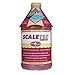 EasyCare 20064 Scaletec Plus Descaler and Stain Remover, 64 oz. Bottle