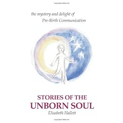 Stories of the Unborn Soul: The Mystery and Delight of Pre-Birth Communication