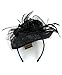 NYFASHION101 Cocktail Fashion Sinamay Fascinator Hat Flower Design & Net S102651, Black