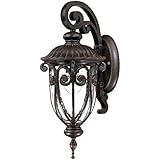 Acclaim 2102MM Naples Collection 1-Light Wall Mount Outdoor Light Fixture, Marbleized Mahogany