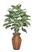 Artificial Dieffenbachia Floor Plant Rattan