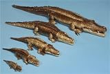 Crocodile Stuffed Animal - 56in Plush (6012L)