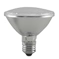 C. Crane Co, Inc. V30 Par 30 LED Floodlight Bulb