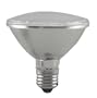 C. Crane Co, Inc. V30 Par 30 LED Floodlight Bulb