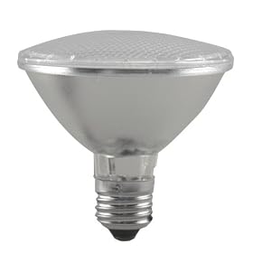Buy C. Crane Co, Inc. V30 Par 30 LED Floodlight Bulb by Crane