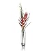 (03889664) Artificial Heliconias in Glass Vase in Household & Kitchen