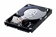 Samsung - SpinPoint F1 RAID Class HE103UJ - Hard drive - 1 TB - internal - 3.5'' - SATA-300 - 7200 rpm - buffer: 32 MB