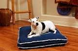 Happy Tails Gusseted Denim, Small