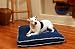 Happy Tails Gusseted Denim, Small