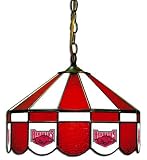 16 Swag Hanging Lamp Light University of Arkansas Razorbacks - Free Shipping