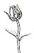 Waterford Fleurology Glass Flower, Tulip