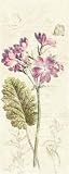 Primrose Panel by Katie Pertiet 8x20