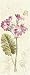 Primrose Panel by Katie Pertiet 8x20