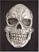 Skull Hitch Cover, 2" receiver