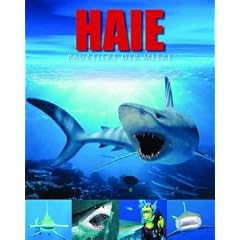 Haie: Raubtiere der Meere