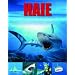 Haie: Raubtiere der Meere