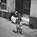 Young Boy Engrossed in Reading Newspaper Comic Strip Photographic Poster Print