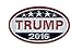 Forge Trump 2016 Pin (1 Pin)