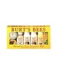 Burt's Bees Head To Toe Starter Kit