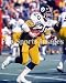 Rocky Bleier Pittsburgh Steelers 8x10 Photo