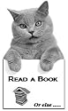Kitty Kindle Screen Display