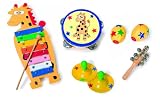 6 Piece Music Tambourine Xylophone Maracas Cymbal triangle 7574